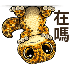 Fifi the Giant Gecko-Not a Fat Tail