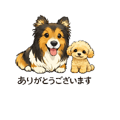 立ち耳シェルティとチビトイプーの日常会話