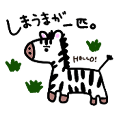 しまうまのお散歩4