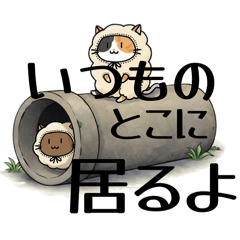 ひつじねこの生活35