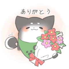 もちまるしばわん