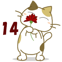 みけ猫みけさん14