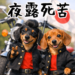 とびだす★ヤンキー★ダックス★不良★