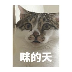 gangan_20260514032158