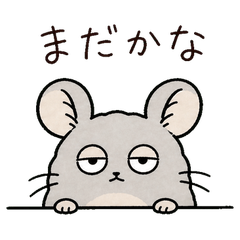 様子を見るチンチラ