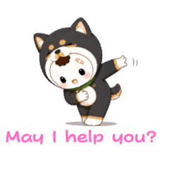 犬のまるめちゃん②