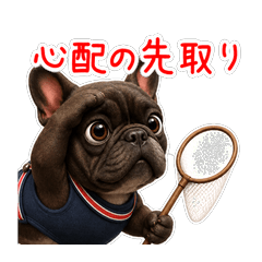 ネガティブに寄り添うフレブル福ちゃん