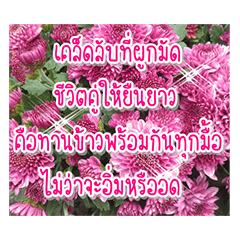 Happy flower garden ll