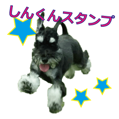 Shin kun スタンプ