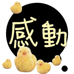 CUTE Chick Bird conversationexpression13