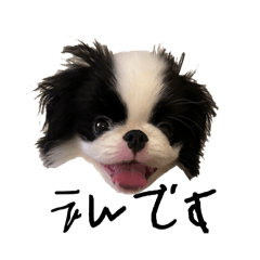 えんまっじかわいい^_^