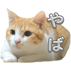 カギしっぽ猫スタンプキナコ