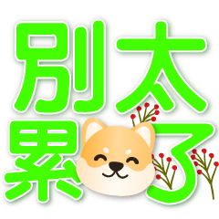 Shiba Inu Practical Post
