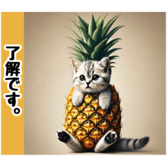 ひょっこりにゃん‼️,,,,