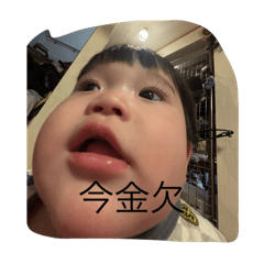 じゃぱにーず国宝