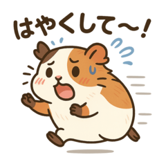 急ぎすぎモルモット