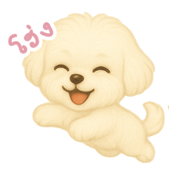 わんで伝えるマルチーズ TH