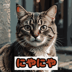 表情ゆたかなリアクションネコ