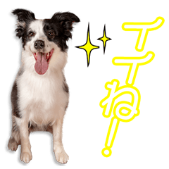 波夛野家のキキ&ルーク＆クロミ＆ロイズ