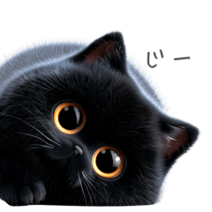 大人かわいい黒猫｜シンプルで毎日使える