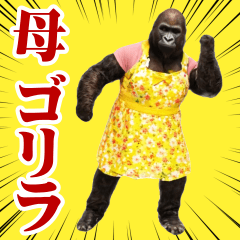 【母ゴリラ】踊る！めちゃ動く!!!