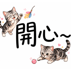 Big Text Cats
