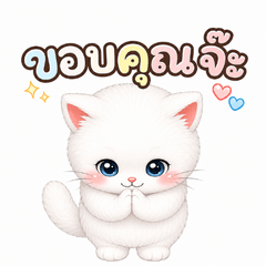 Momo the White Cat
