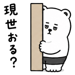 生存確認してくるくま