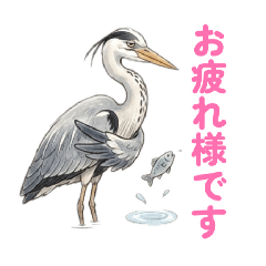 日本の身近な野鳥