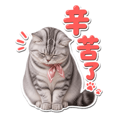 リアルねこのOL敬語・気づかい (TW)