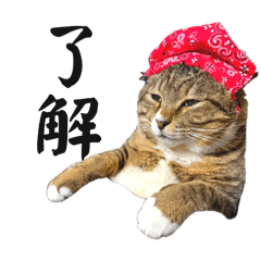 ほたて君スタンプ2