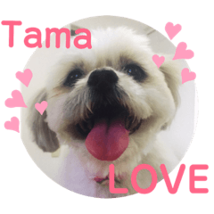 tamafam❤︎