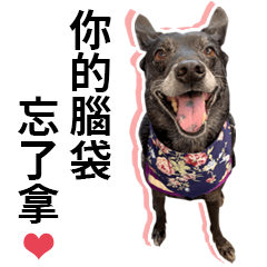 cuxi.mutt