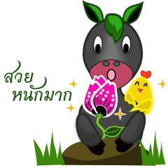 Phuthao to Saengthong