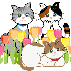 猫と花いっぱい春の日常
