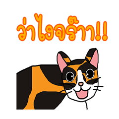 cat three color