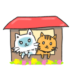 猫のラグドールとベンガルスタンプ