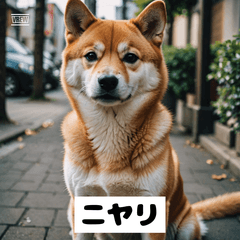 ゆるっと犬の気持ちスタンプ