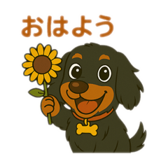 ブラッキー in summer