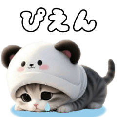 飛び出す パンダ帽が可愛い猫 ずっと使える