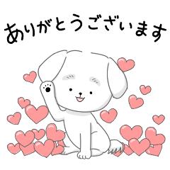 My color マルチーズ　ホワイト