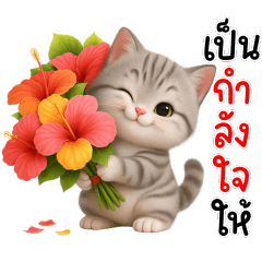 Cute little cat greets you every day.