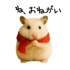 ちっさいハムスター　冬