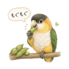 やさしい鳥さんの日常