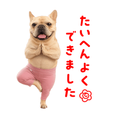 ヨガパンツフレブル