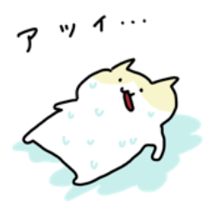 夏なの！ねこなの！
