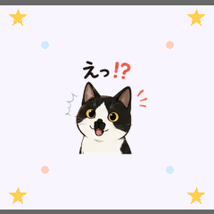 Tuxedo Cat Daily Chat Stickers