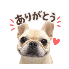 フレブルココちゃん