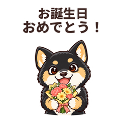 動く黒柴の誕生日とありがとう