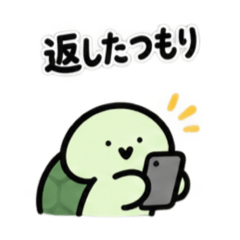 返信が遅すぎるカメ